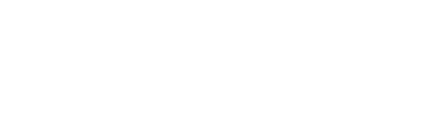 Embrace Ability Foundation